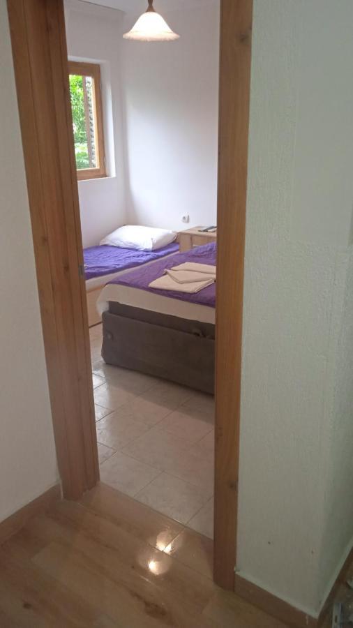 Apartments Jovana Petrovac Bagian luar foto